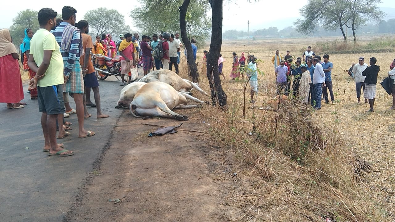 କେନ୍ଦୁଝର ଜିଲ୍ଲାର ବିଭିନ୍ନ ସ୍ଥାନରେ ବଜ୍ରାଘାତ ସାଙ୍ଗକୁ ବର୍ଷା