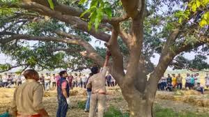 ଭେଟିବାକୁ ସ୍ୱାମୀର ବିରୋଧରୁ ପ୍ରେମୀଯୁଗଳ କରିଦେଲେ ସୁଇସାଇଡ୍..
