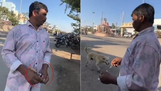 ନିର୍ବାଚନୀ ପ୍ରତିଶୃତି ରକ୍ଷା- ମାରିଦେଲେ ୫ଶହ କୁକୁର